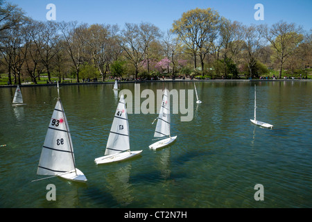 Fernbedienung-Segelboote, Konservatorium Wasser im Central Park in New York City Stockfoto