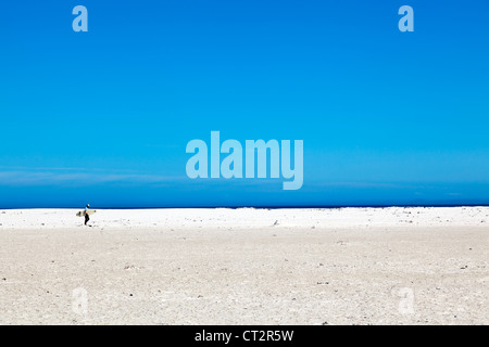 Surfer mit Surfbrett zu Fuß am Strand von Noordhoek, Südafrika Stockfoto