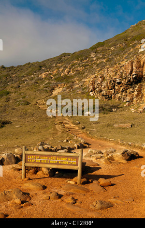 Am Nachmittag Sonnenlicht am Kap der guten Hoffnung, Table Mountain National Park, Südafrika Stockfoto