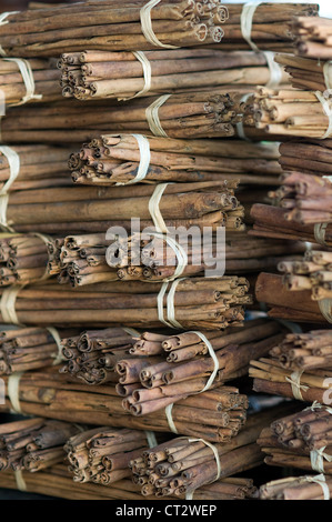 Zimt, Central Market, Tamatave, Madagaskar Stockfoto