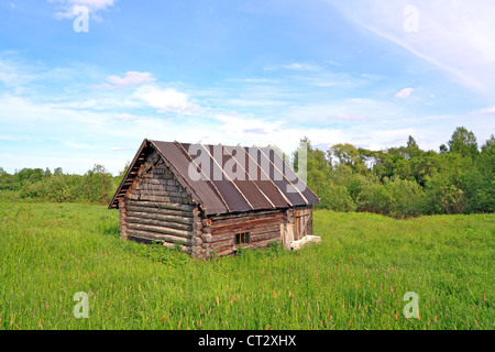 altes Landhaus im grünen Bereich Stockfoto