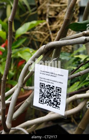 QR-Code auf einer Pflanze in einem botanischen Garten. Besucher erfahren mehr über die Anlage. QR-Code-Reader, QR = Quick Response. Stockfoto