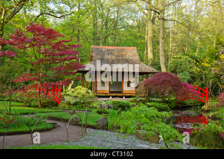 Japanischer Garten typische Ansicht, Den Haag, Holland Stockfoto