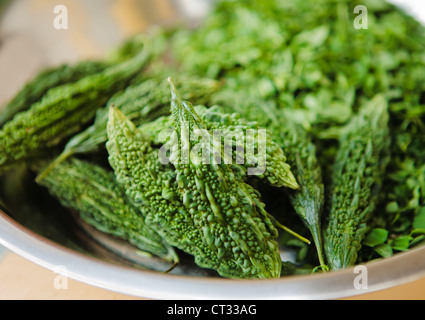 Karela Obst oder bitterer Kürbis in Schüssel, Gujarat, Indien Stockfoto