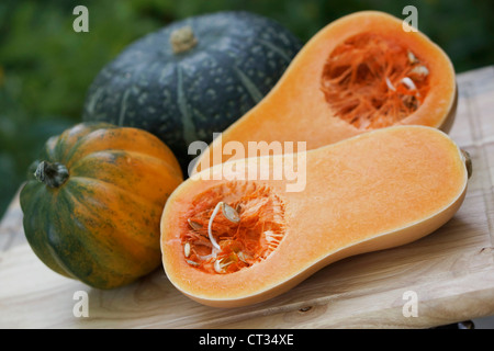 Butternut Squash Acorn und Buttercup Squash, ganze Gemüse Kürbisse Stockfoto
