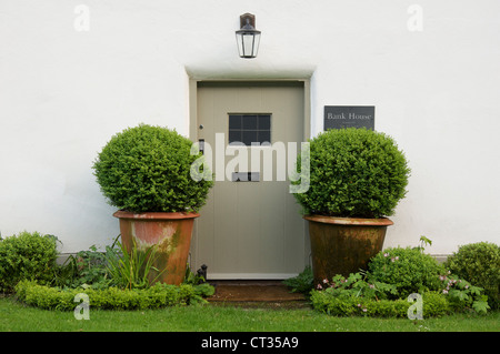 Der Haustür, flankiert von zwei Topfpflanzen Zierbäume der Bank House. Eines der weiß getünchten strohgedeckten Hütten von Milton Abbas. Dorset, England, Vereinigtes Königreich. Stockfoto