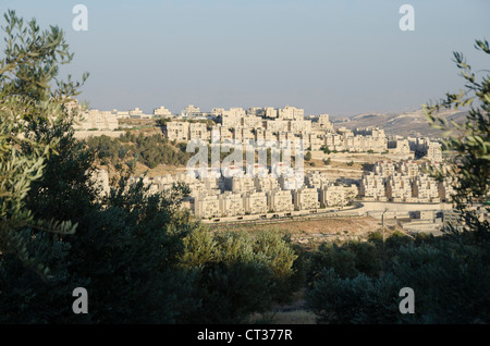 Har Homa Nachbarschaft im südlichen Ost-Jerusalem von weiten Teilen der Welt als eine illegale israelische Siedlung, israel Stockfoto