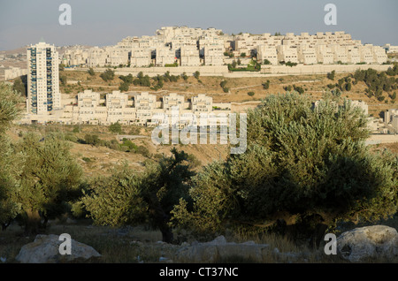 Har Homa Nachbarschaft im südlichen Ost-Jerusalem von weiten Teilen der Welt als eine illegale israelische Siedlung, israel Stockfoto