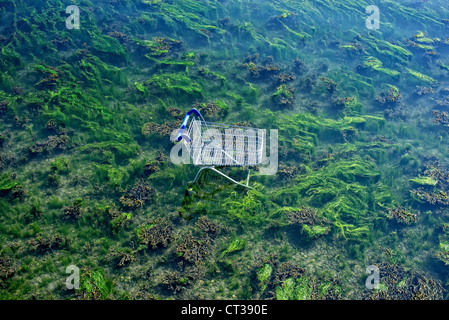 Einkaufswagen in das Meer geworfen Stockfoto