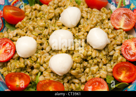 Caprese. Tomaten-Mozzarella-Salat mit Basilikum, mit Dinkel und Pesto. Stockfoto