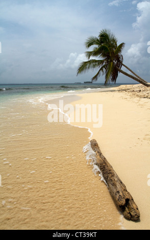 San Blas Inseln, Panama, Mittelamerika Stockfoto