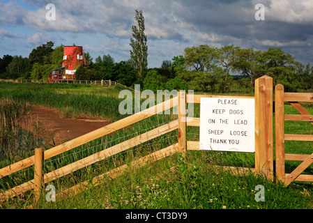 Ein Zeichen, Hunde an der Leine durch lose Schafe auf dem Wherryman Weg auf Reedham, Norfolk, England, Vereinigtes Königreich zu halten. Stockfoto