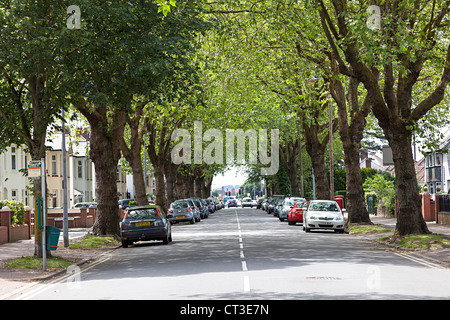 Suburban Allee der Bäume werfen Schatten auf parkende Autos in der Straße, Cardiff, Wales, UK Stockfoto