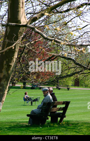 Berlin, Besucher der Britzer Garten auf einer Parkbank Stockfoto