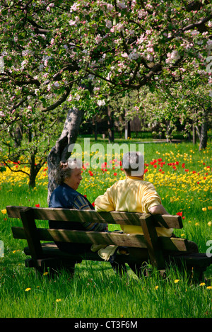 Berlin, Besucher der Britzer Garten auf einer Parkbank Stockfoto