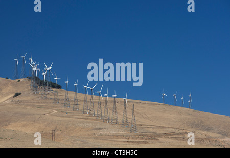 Die weltweit zweitgrößte Sammlung von Windkraftanlagen in Tehachapi Pass, nordöstlich von Los Angeles. Stockfoto