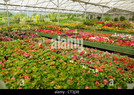 Garten-Center in Banyoles, Girona, Katalonien, Spanien. Stockfoto