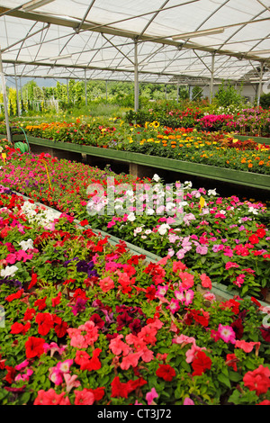 Garten-Center in Banyoles, Girona, Katalonien, Spanien. Stockfoto