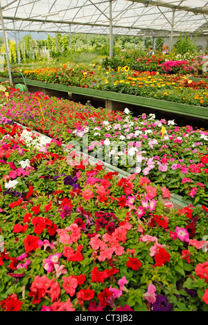 Garten-Center in Banyoles, Girona, Katalonien, Spanien. Stockfoto