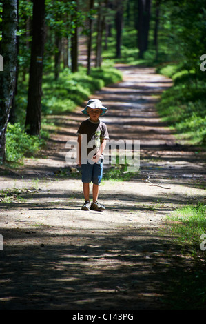 Kleiner Junge Gehweg entlang, im Wald-Sommer Stockfoto