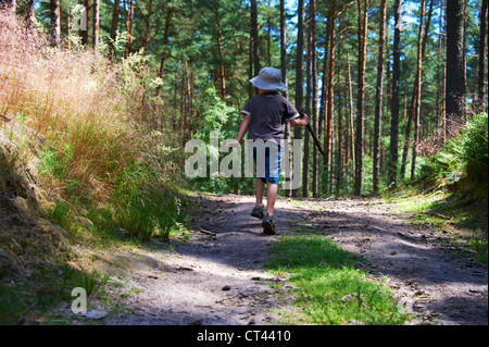 Kleiner Junge Gehweg entlang, im Wald-Sommer Stockfoto