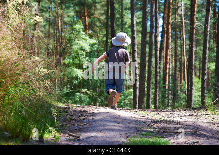 Kleiner Junge Gehweg entlang, im Wald-Sommer Stockfoto