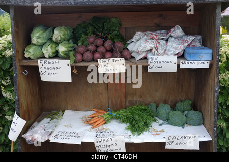 Nach Hause am Straßenrand gewachsen produzieren Stall mit Ehrlichkeit Box in Suffolk UK Stockfoto