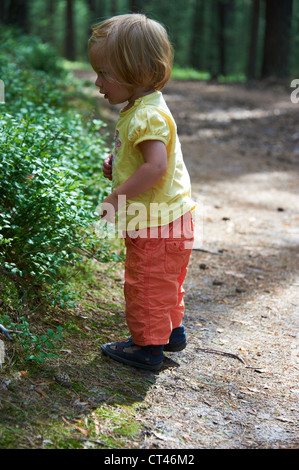 Kind Babymädchen Essen Heidelbeeren im Sommer Wald Stockfoto
