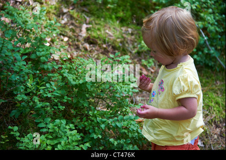 Kind Babymädchen Essen Heidelbeeren im Sommer Wald Stockfoto