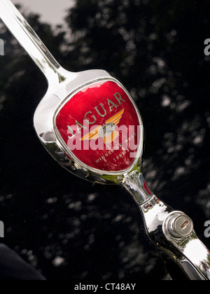 Jaguar XK150, Chrom & Emaille Bootlid Abzeichen Stockfoto