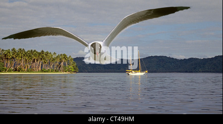 Ein Segelboot sitzt in einer ruhigen Lagune neben einer kleinen Insel in Fidschi-Inseln, Süd-Pazifik Stockfoto