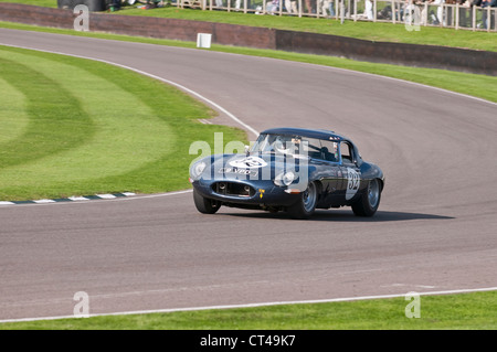 Leichte Jaguar E-Type beim Goodwood Revival Stockfoto