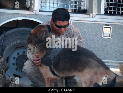 Cpl. Fidel Rodriguez, ein militärischer Arbeitshundeführer mit 1. Strafverfolgungsbataillon, I Marine Expeditionary Force, erhält einige Zuneigung von seinem Hund, Aron, während einer Trainingsübung in großem Maßstab Übung-1, Javelin Thrust 2012, 7. Juli. Javelin Thrust ist eine jährliche groß angelegte Übung mit 1. Marine Expeditionary Brigade am Marine Corps Air Ground Combat Centre Twentynine Palms, Kalifornien, die aktiven und Reserve Marines und Matrosen aus 38 verschiedenen Staaten ermöglicht, zusammen als nahtlose Marine Air Ground Task Force zu trainieren. Stockfoto