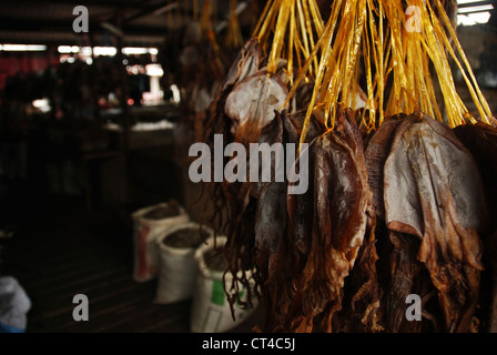 Malaysia, Borneo, Semporna, getrockneter Tintenfisch Stockfoto