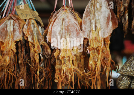 Malaysia, Borneo, Semporna, getrockneter Tintenfisch Stockfoto