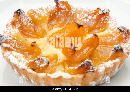 Nahaufnahme einer klassischen frisch gebackene französische Aprikosen-Torte - Studio gedreht mit einem weißen Hintergrund und geringe Schärfentiefe Stockfoto