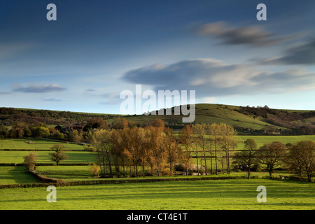 Sullington Wiesen und Sullington Hill, West Sussex Stockfoto