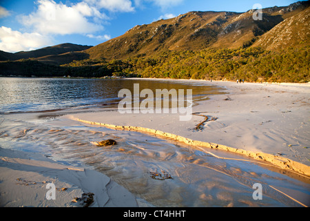 Bramble Bucht am Hafen von Bathurst in Tasmaniens Southwest-Nationalpark Stockfoto