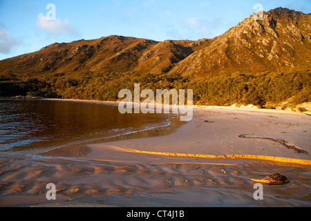 Bramble Bucht am Hafen von Bathurst in Tasmaniens Southwest-Nationalpark Stockfoto