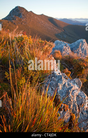 Blick vom Gipfel des Mt Stokes Mt Berry Tasmaniens-Southwest-Nationalpark Stockfoto