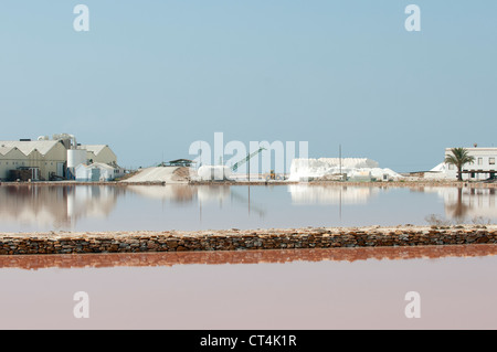 Spanisch Salinera Salzproduktion in San Pedro del Pinatar Südspanien Stockfoto