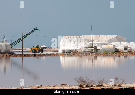 Spanisch Salinera Salzproduktion in San Pedro del Pinatar Südspanien Stockfoto