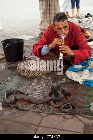 Schlangenbeschwörer und Schlangen, Djemaa el Fna, Marrakech Marokko Afrika Stockfoto