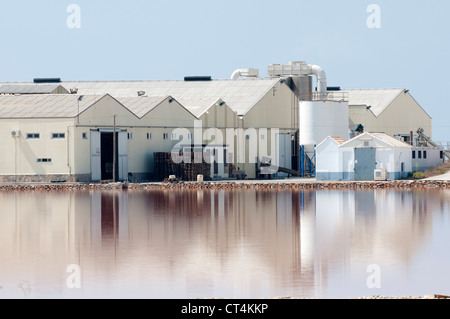 Spanisch Salinera Salzproduktion in San Pedro del Pinatar Südspanien Stockfoto