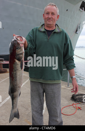 Ein Fischer mit der Rute gefangen Probe Seebarsch in Portsmouth Dockyard im Juli 2012 mit einem Gewicht von 13lb 2 Unzen Stockfoto