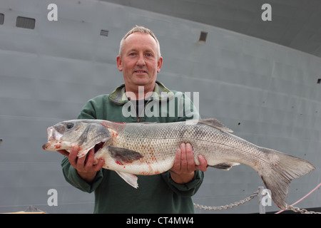 Ein Fischer mit der Rute gefangen Probe Seebarsch in Portsmouth Dockyard im Juli 2012 mit einem Gewicht von 13lb 2 Unzen Stockfoto