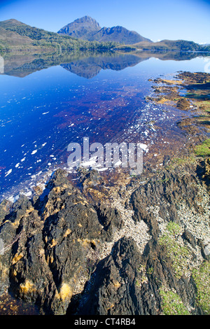 Blick auf Mt Rugby vom Wald Lagune Tasmaniens-Southwest-Nationalpark Stockfoto