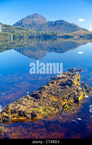 Blick auf Mt Rugby vom Wald Lagune Tasmaniens-Southwest-Nationalpark Stockfoto