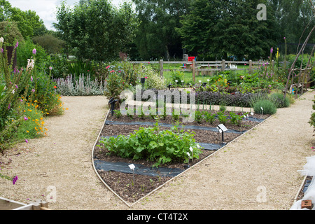 Pflanzlichen Zuteilung an Ryton Bio-Garten im Sommer, Warwickshire, England Stockfoto