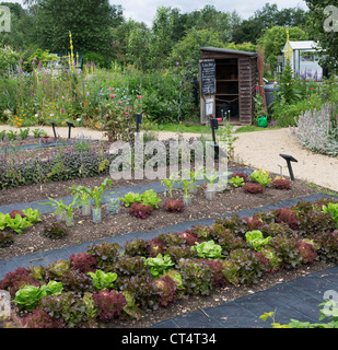 Pflanzlichen Zuteilung an Ryton Bio-Garten im Sommer, Warwickshire, England Stockfoto